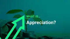 Whatisappreciation_e36100af0c7176def4fad284b17eceab