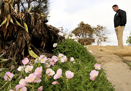 ff835a0589ce40bf92e5515cabe9fd85_preview_philanthropy_mountain_fire_recovery_85676