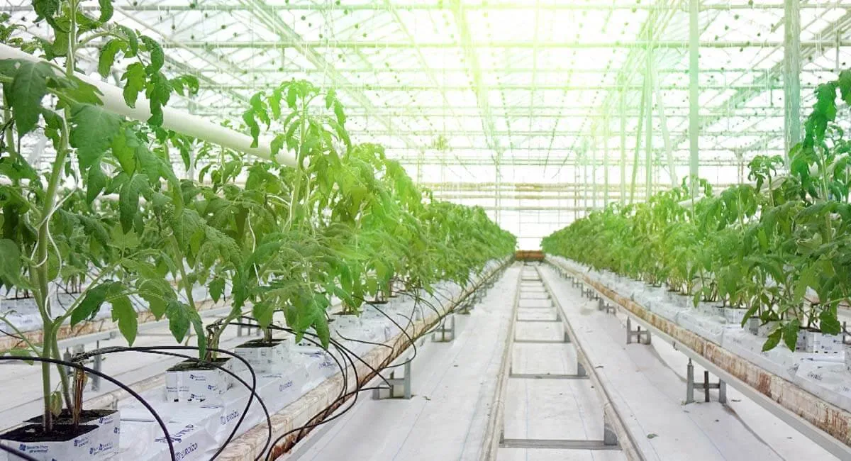 IsAgTechagoodinvestment-_83a45d6ddde678f5876fa5719a4b32bc_2000