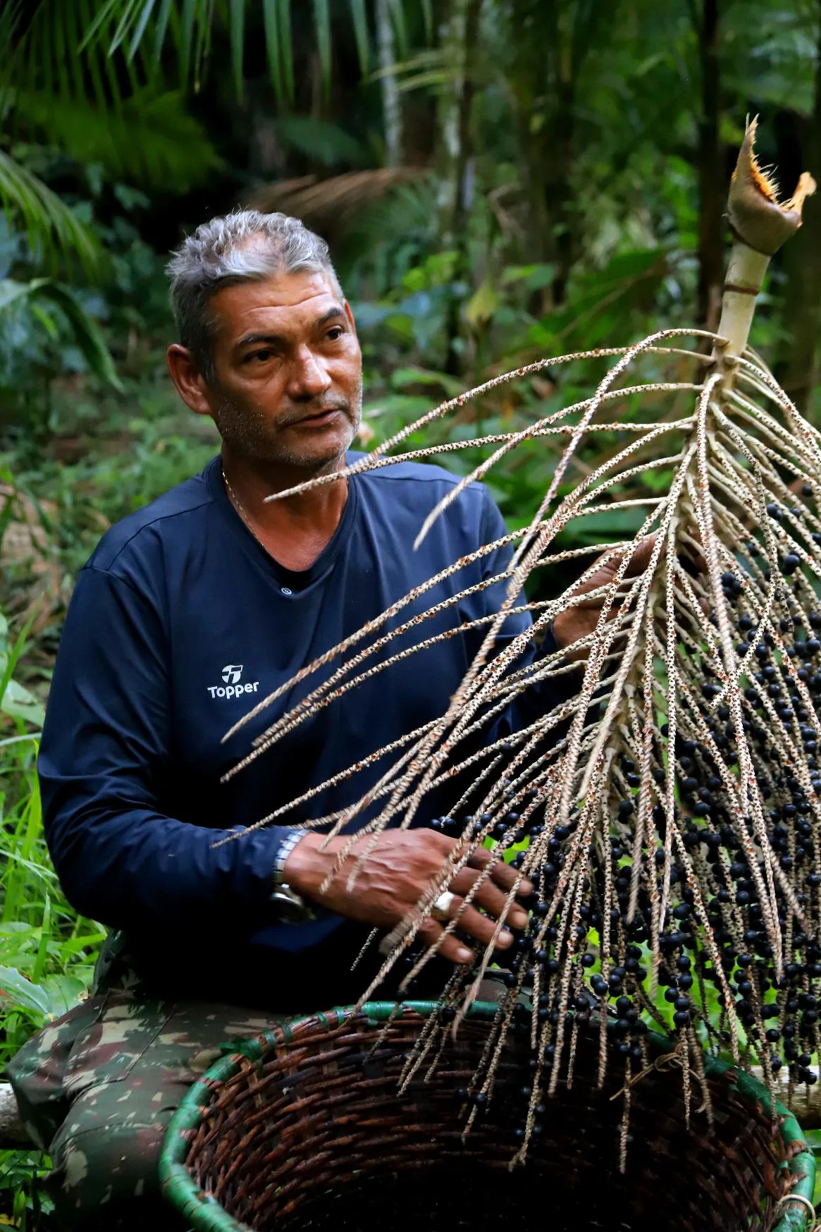 7e2bb07dadeb49779aa639f4f27d067b_main_brazil_acai_berries_93003