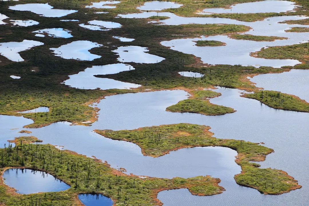 Colourful sphagnum swamps and small lakes seen from the sky by helicopter in James Bay (Quebec, Canada)