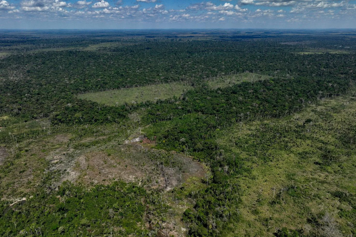 9d2db82ca3a649f8a4f1c59b1a052ae5_main_brazil_cattle_deforestation_stock_exchange_53393
