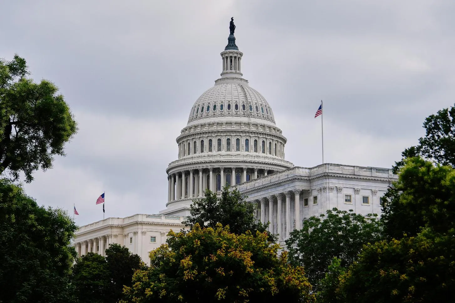 3e9c3ef401f64d578d3b3e55276ccf16_main_congress_63605