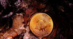 ElonMusksfavouriteNFTcryptoartistPakgetsSothebyssealofapproval-hero_223af3ec24f0a955a2682a7ae0f8322b_2000