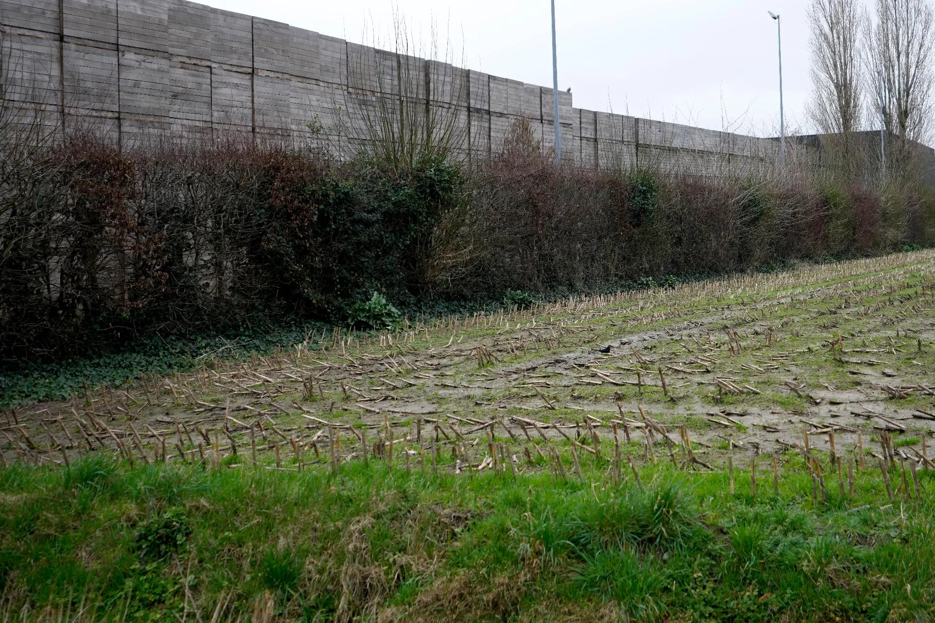 44cf9300ff644ea8a7fb8bd6b55b53d2_main_europe_green_under_threat_71402