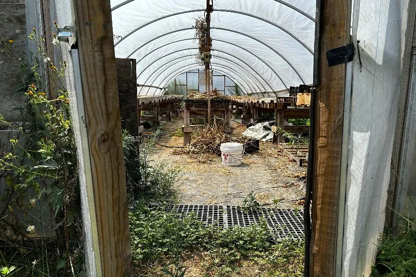 ef939766b1ea4586bf679fd26352ca2d_main_gardening-a_seed_surprise_38465