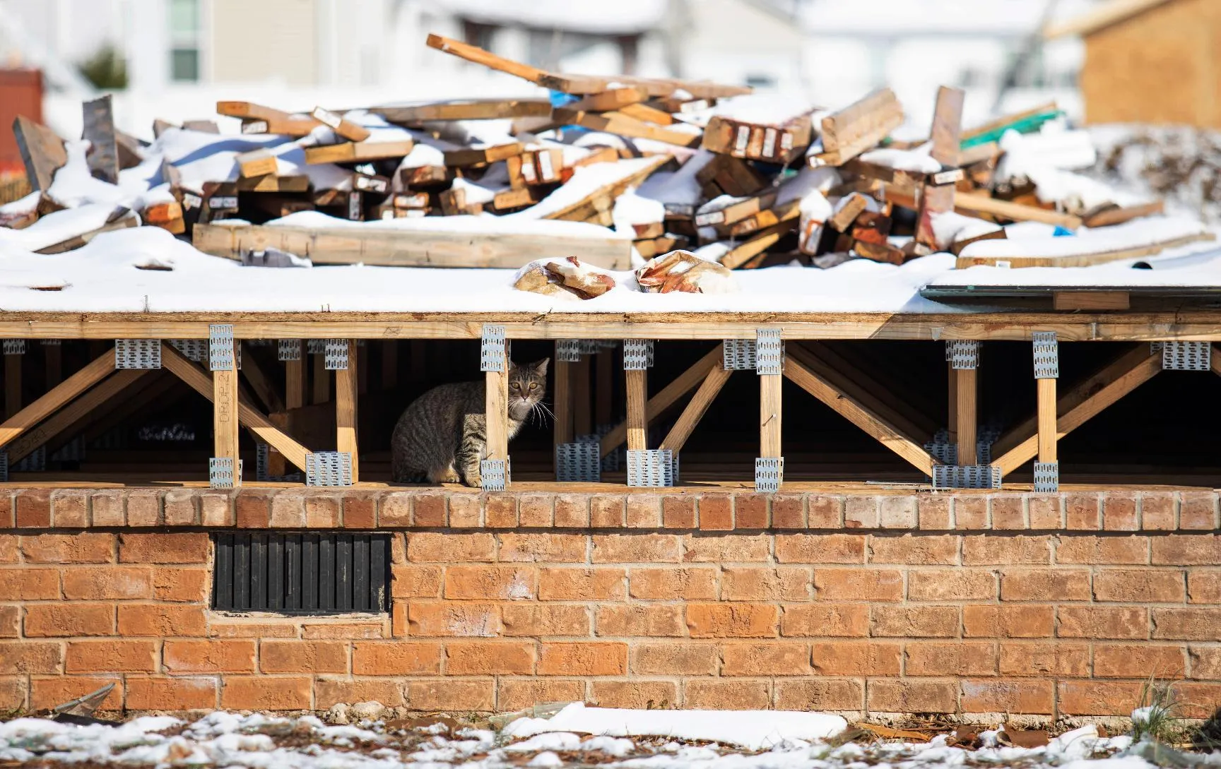 94d5020fd26840ddba032d9e0ccdfc30_main_philanthropy_gofundme_61160