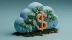 Cloud with Dollar in Front
