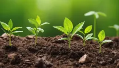 Sustainable agriculture a vibrant soybean field in a rural setting concept soybean farming sustainable agriculture rural landscapes crop cultivation