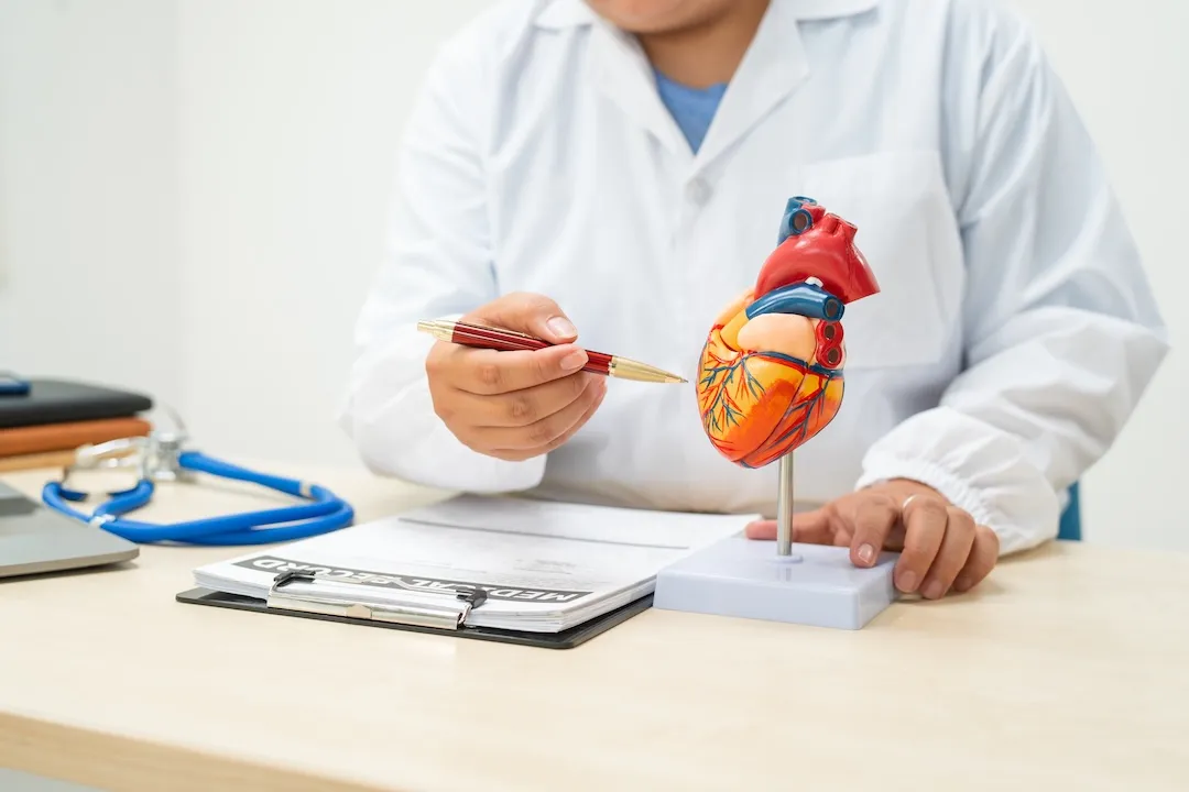 doctor works at a desk in the hospital,discussing heart diseases such as coronary artery disease,arrhythmia,heart valve stenosis,heart failure congenital heart disease